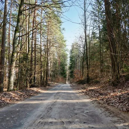 Amazing In With Wifi 度假居