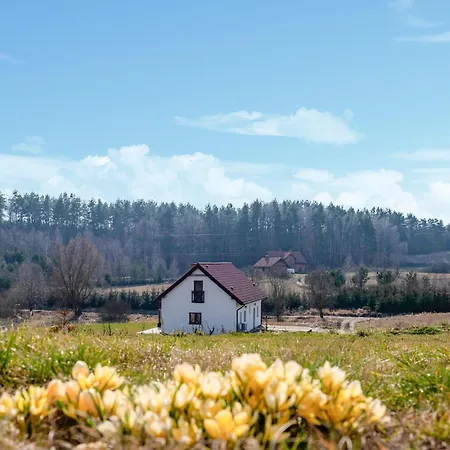 1 Bedroom Nice Home In Gietrzwald *